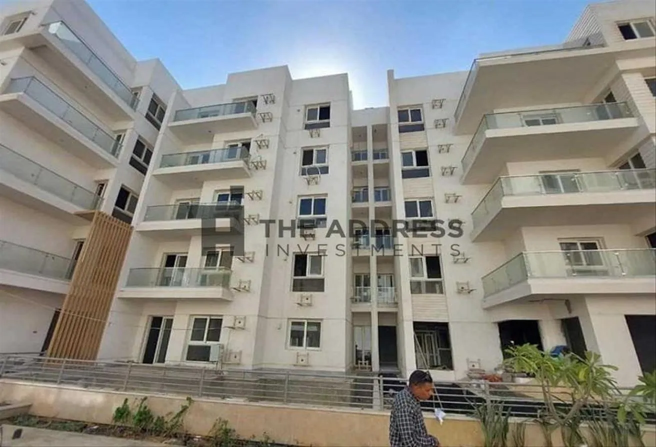 Gallery Image 7