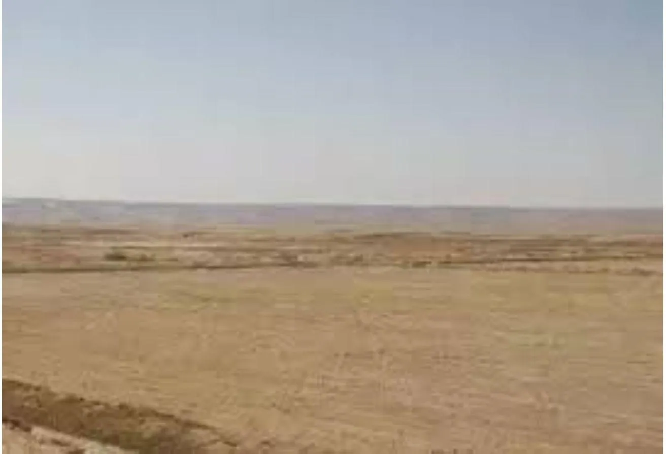 Sale in Gameat Al Dewal Al Arabeya St.: Land for sale in Mohandessin