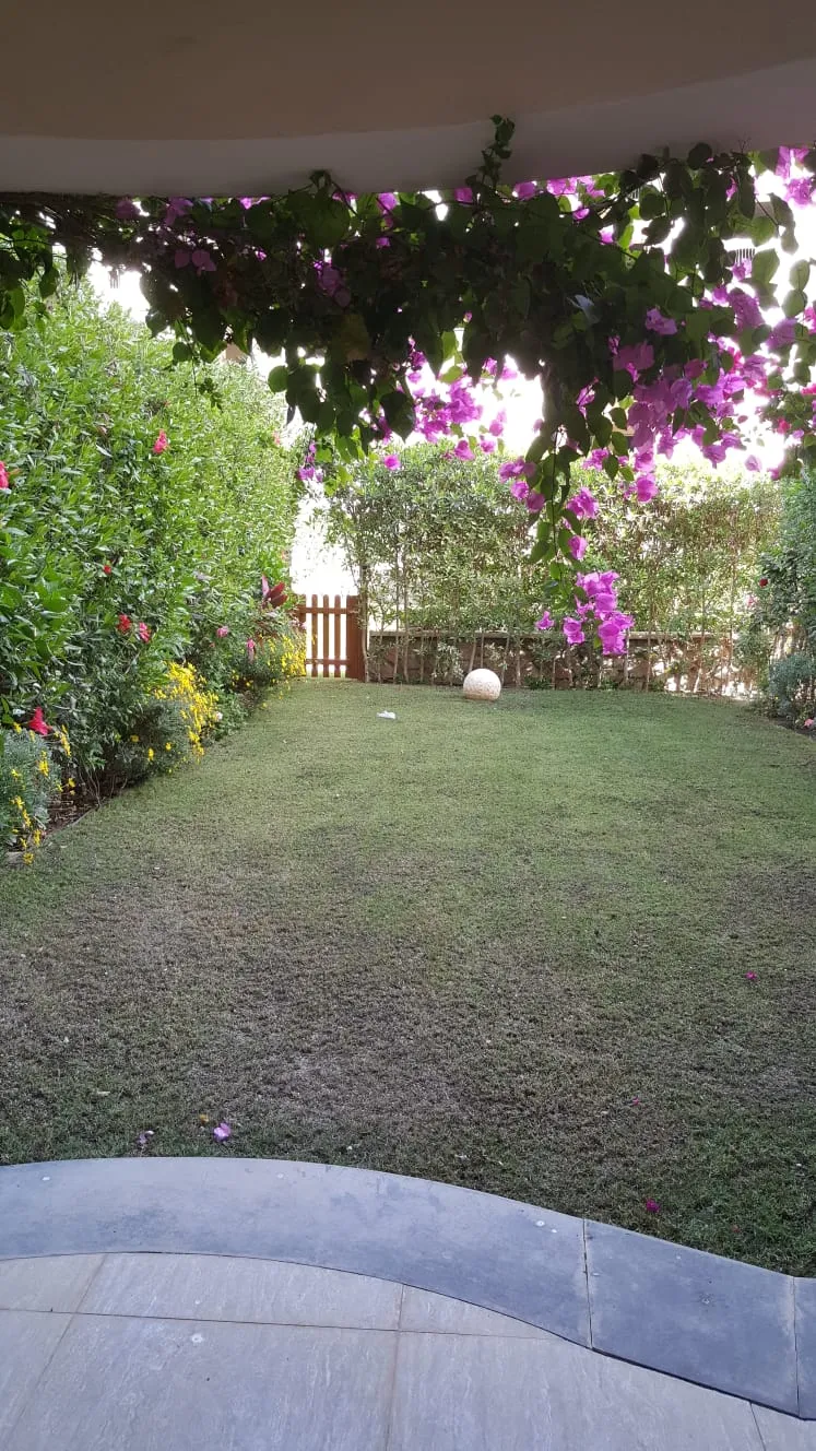 Gallery Image 12