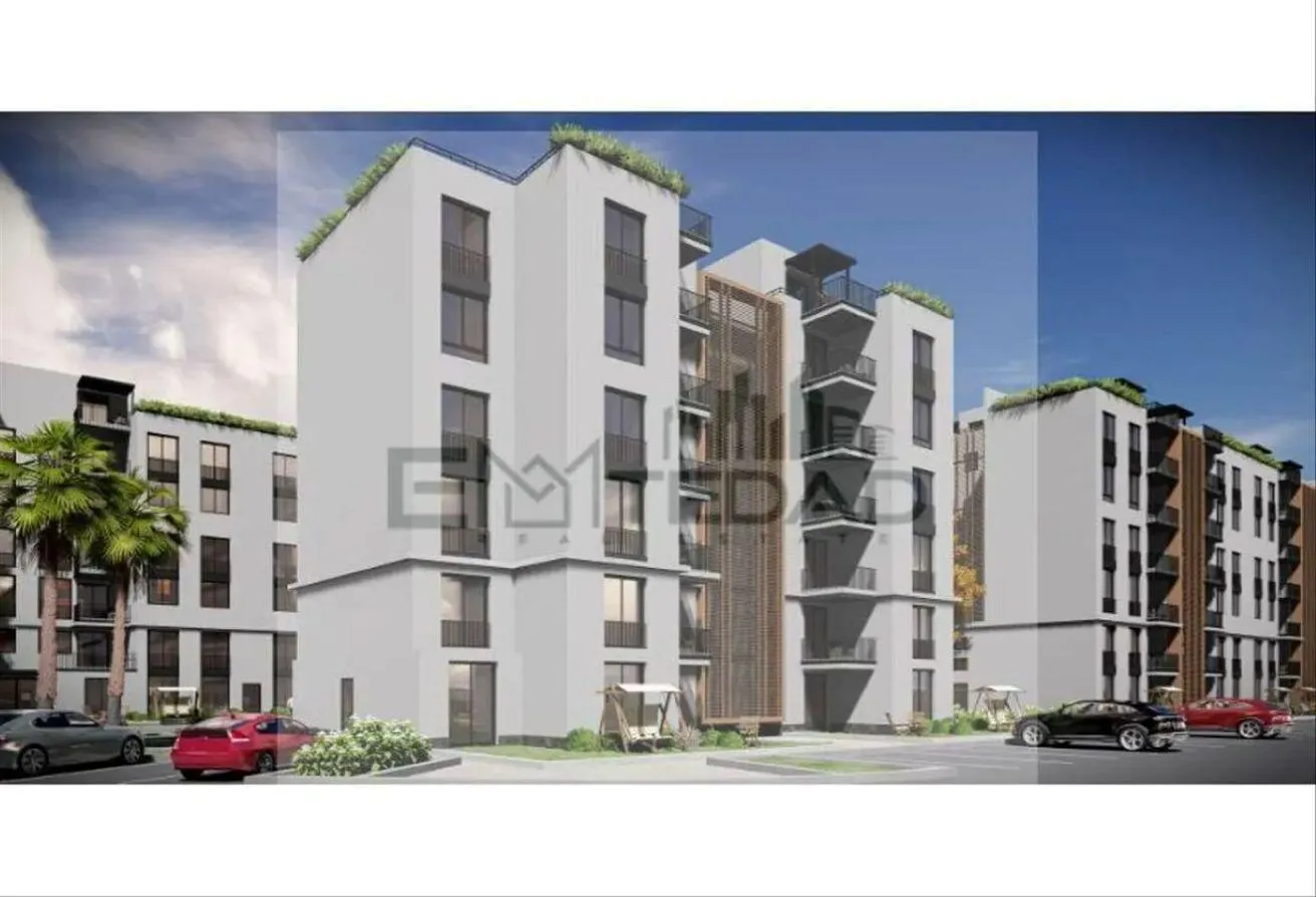 Gallery Image 6
