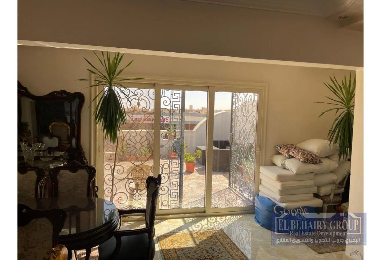 Gallery Image 11