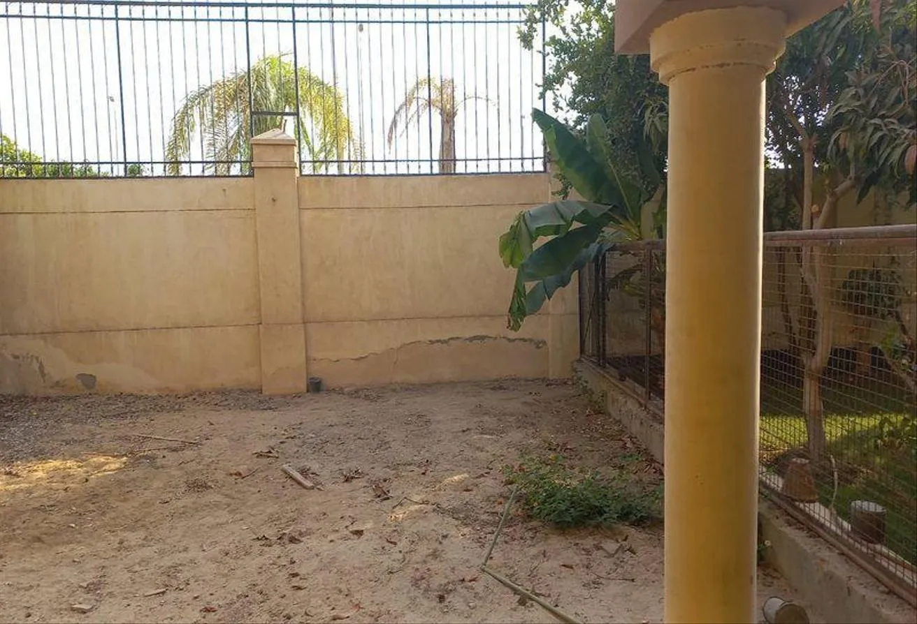 Gallery Image 19