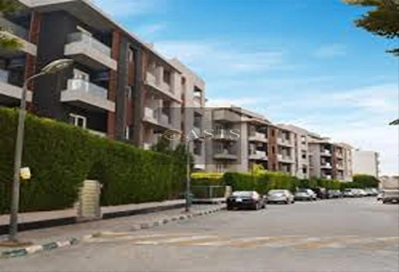 Gallery Image 9