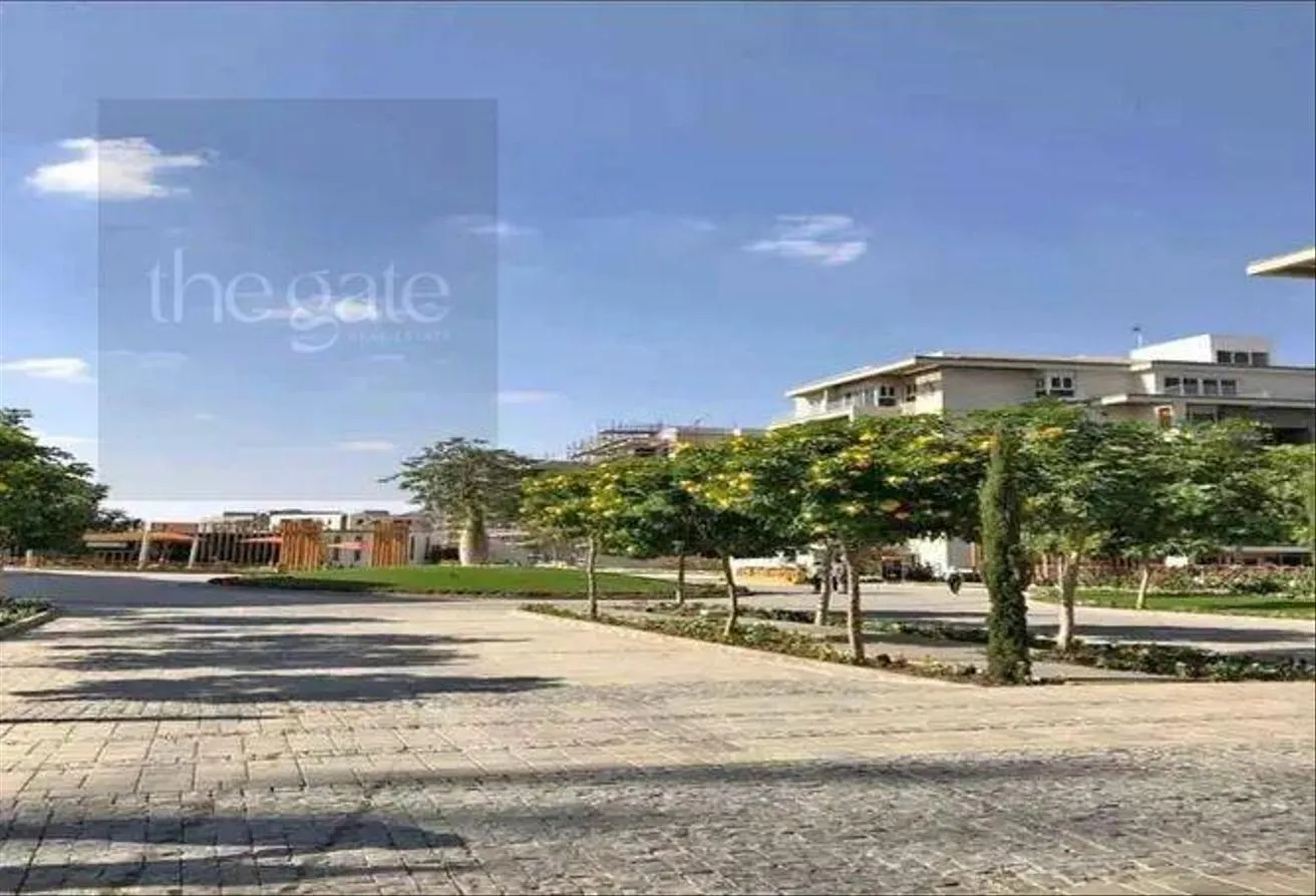 Gallery Image 10