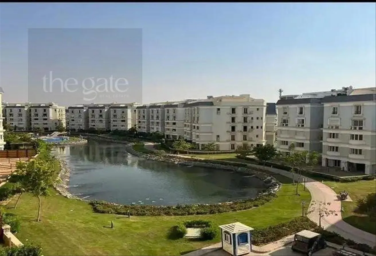 Gallery Image 8
