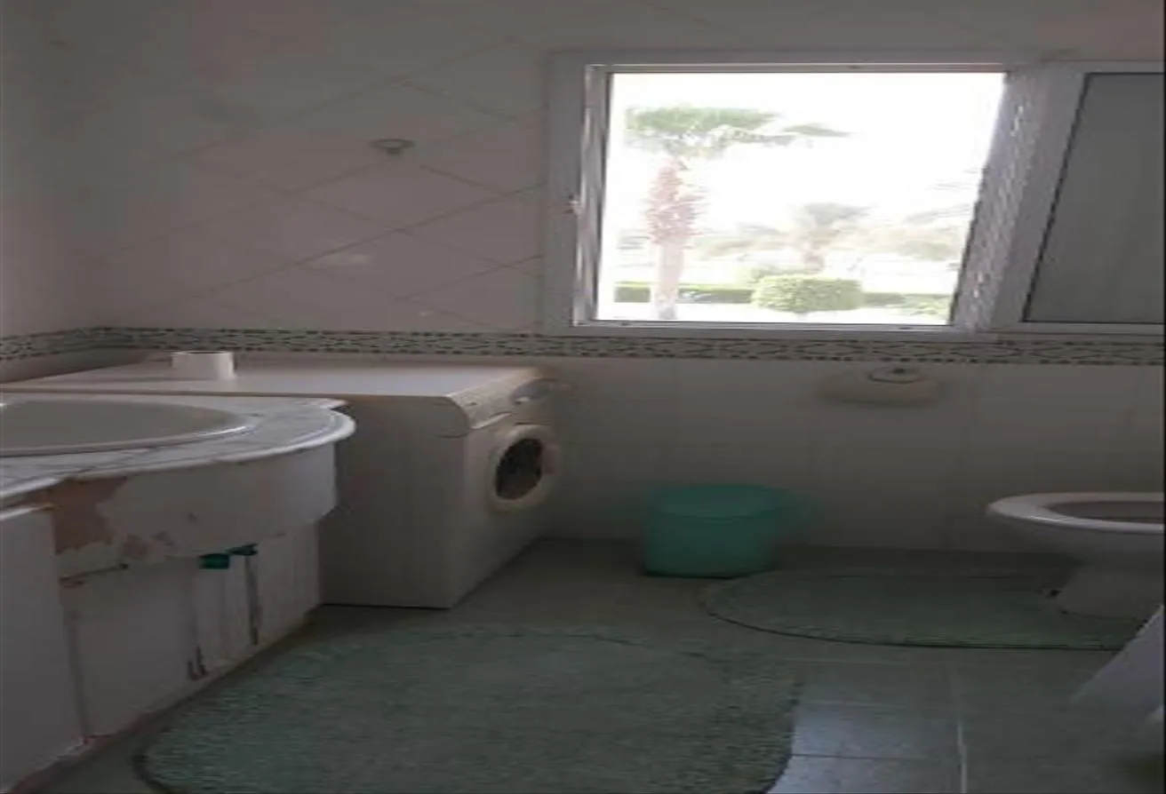 Gallery Image 13