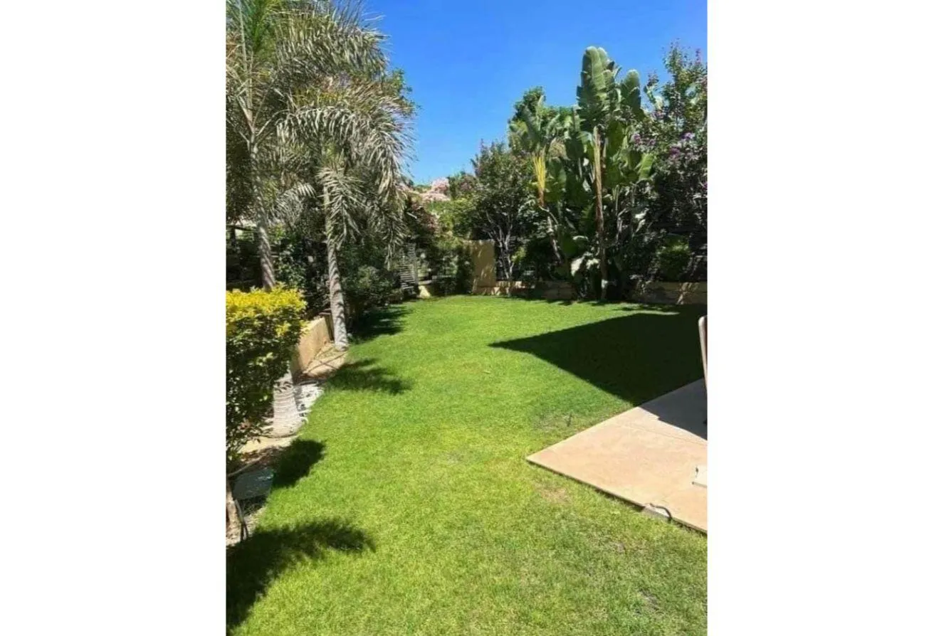 Gallery Image 16