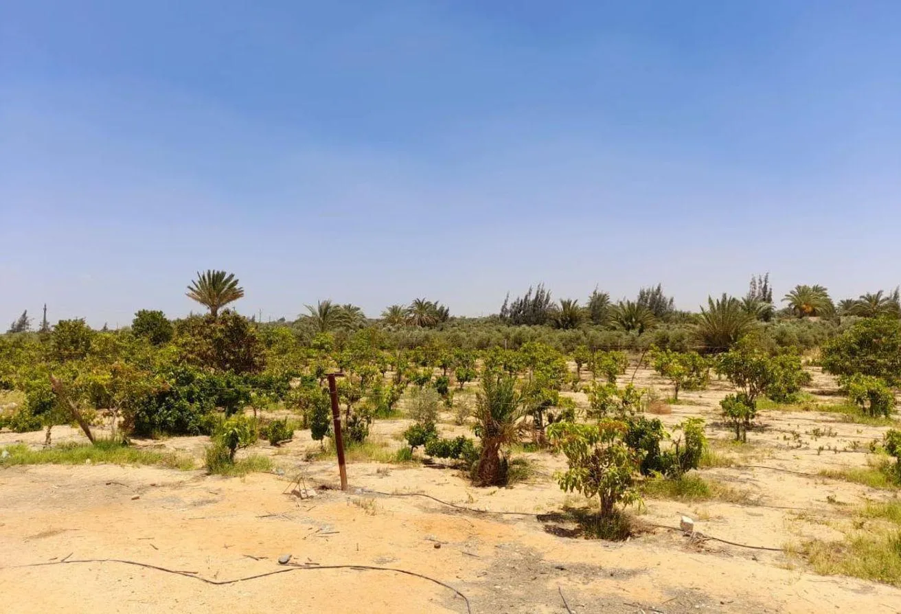 Sale in Hood 4 Side St.: Spacious Lands in Hood 4 – Starts from 3.75M