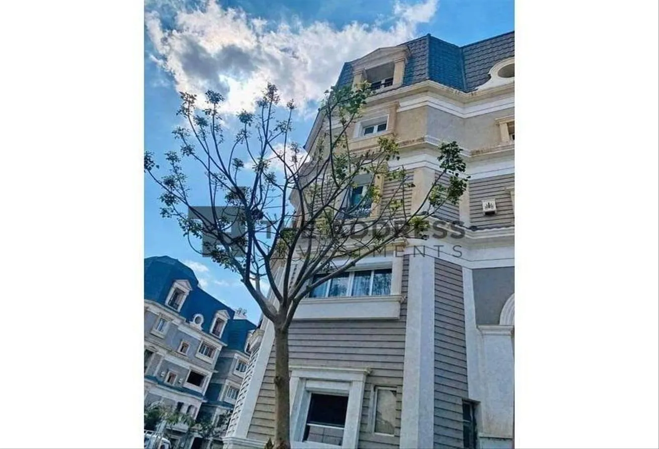 Gallery Image 9