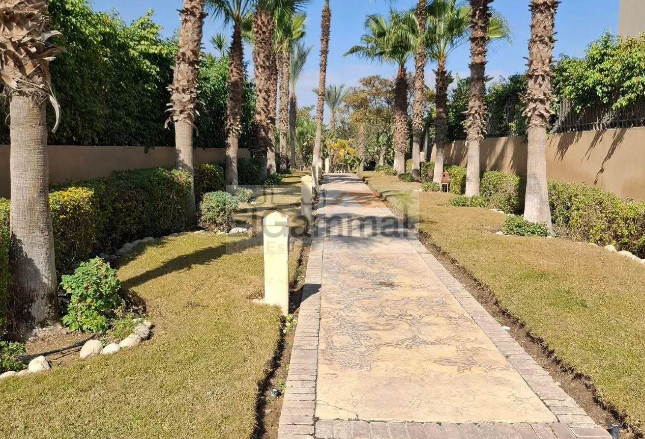 Gallery Image 10
