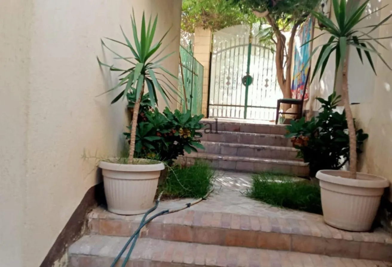Gallery Image 13