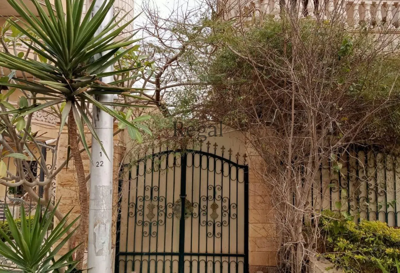 Gallery Image 14