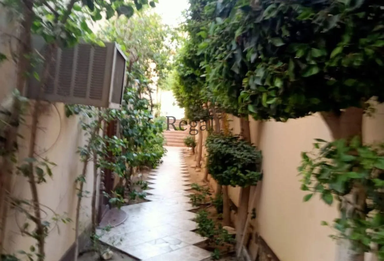 Gallery Image 15