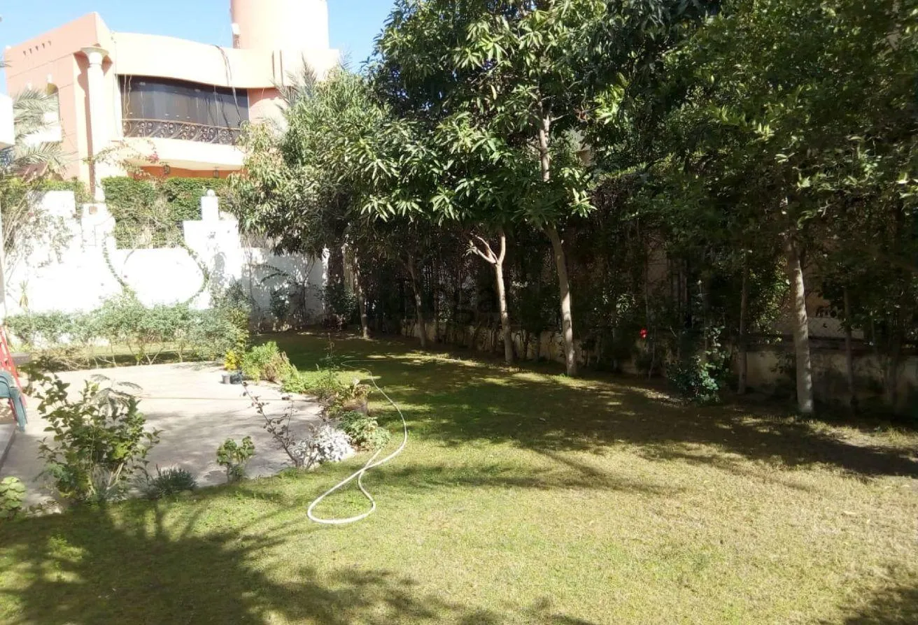 Gallery Image 10