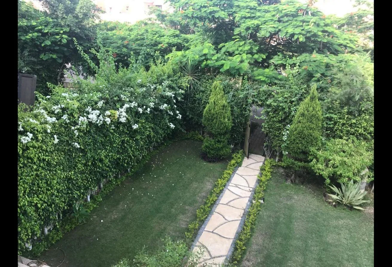 Gallery Image 14
