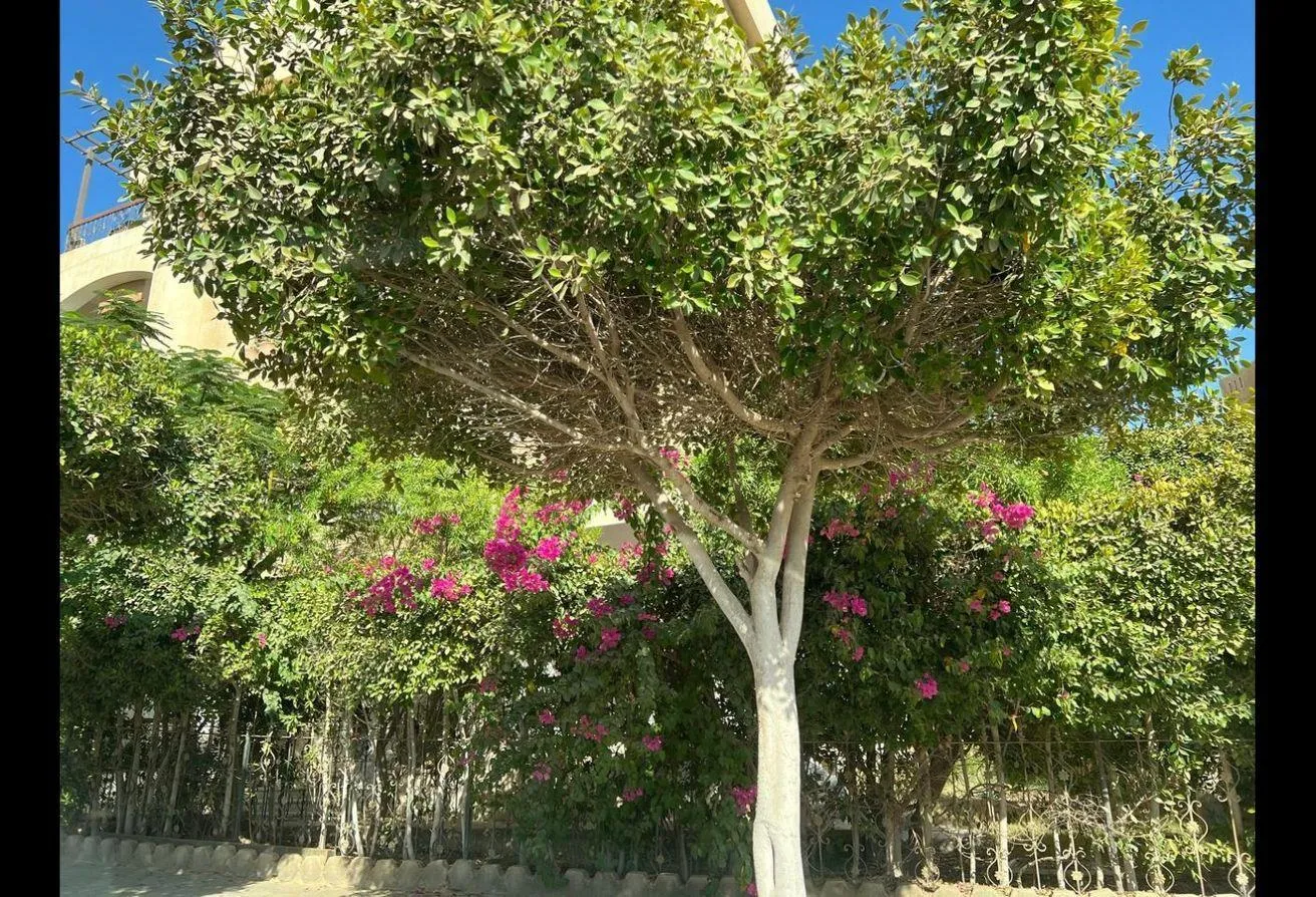 Sale in Beverly Hills Road: Ground Duplex with Garden in the Best Compounds