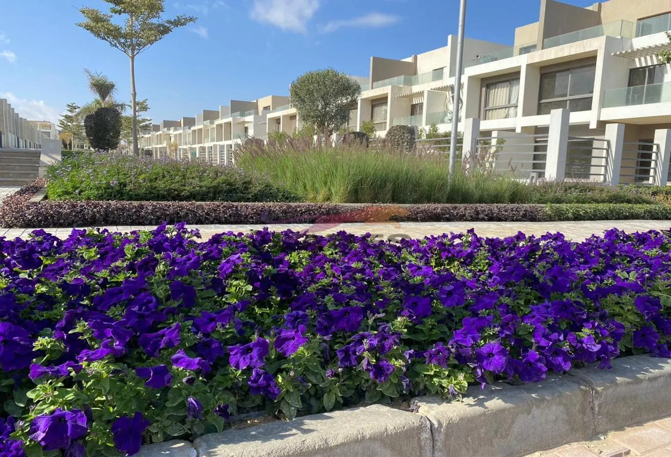 Sale in Moon Residences: Penthouse 300 M + 155 UNDER MARKET PRICE