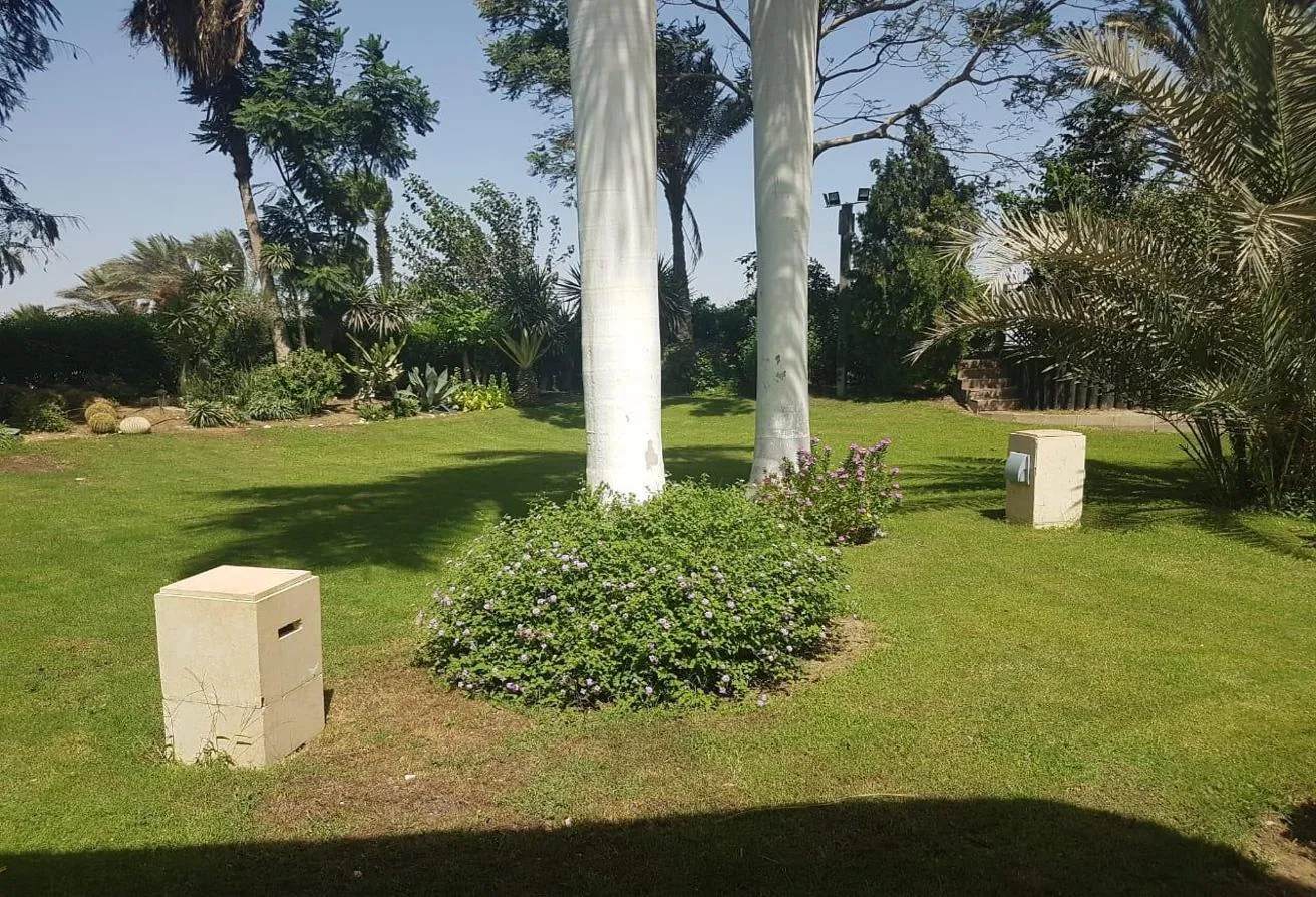 Gallery Image 17
