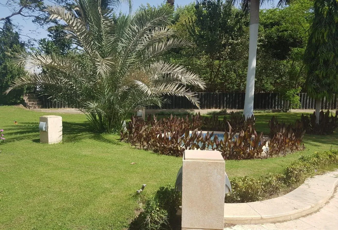 Gallery Image 18