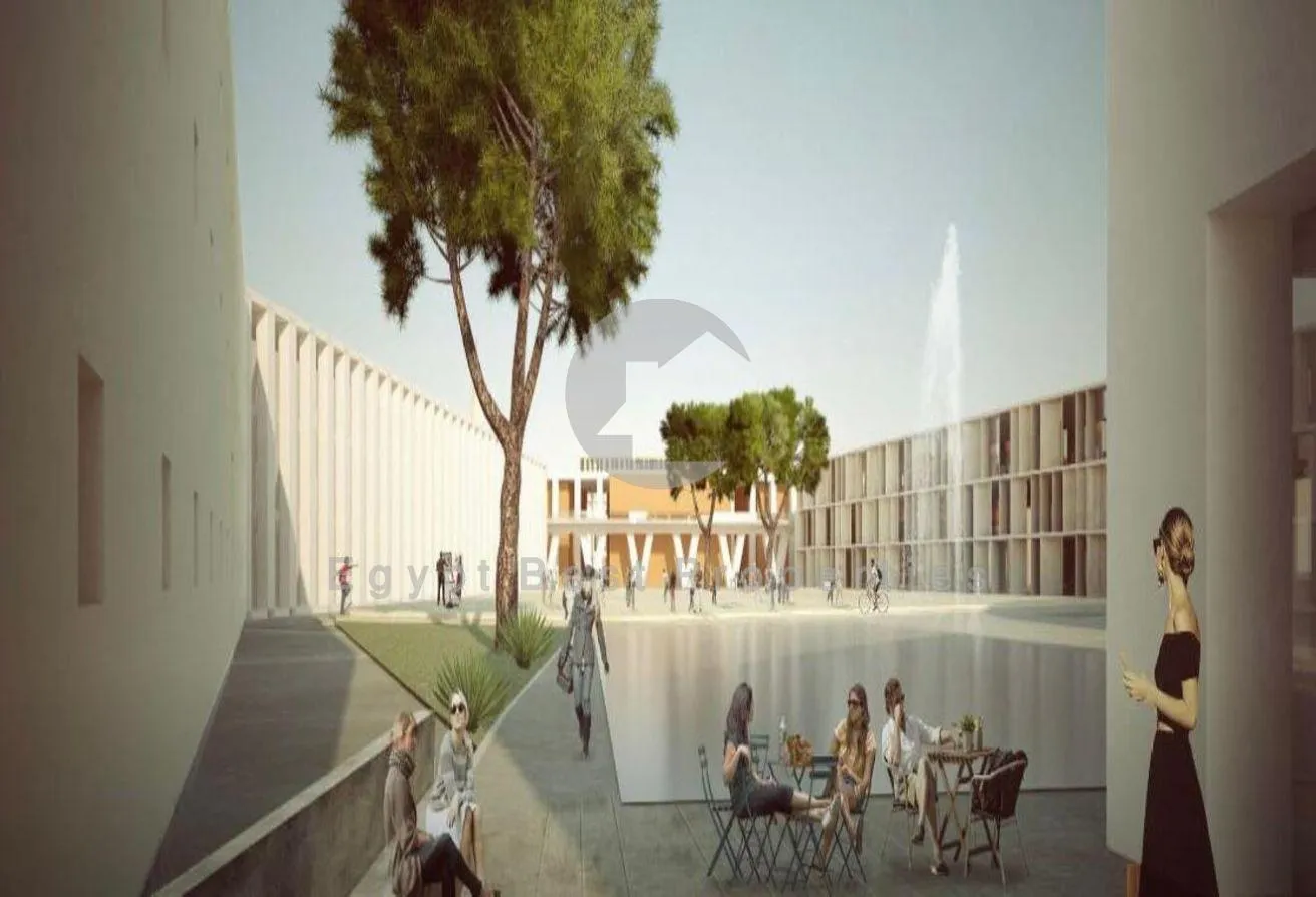 Gallery Image 9