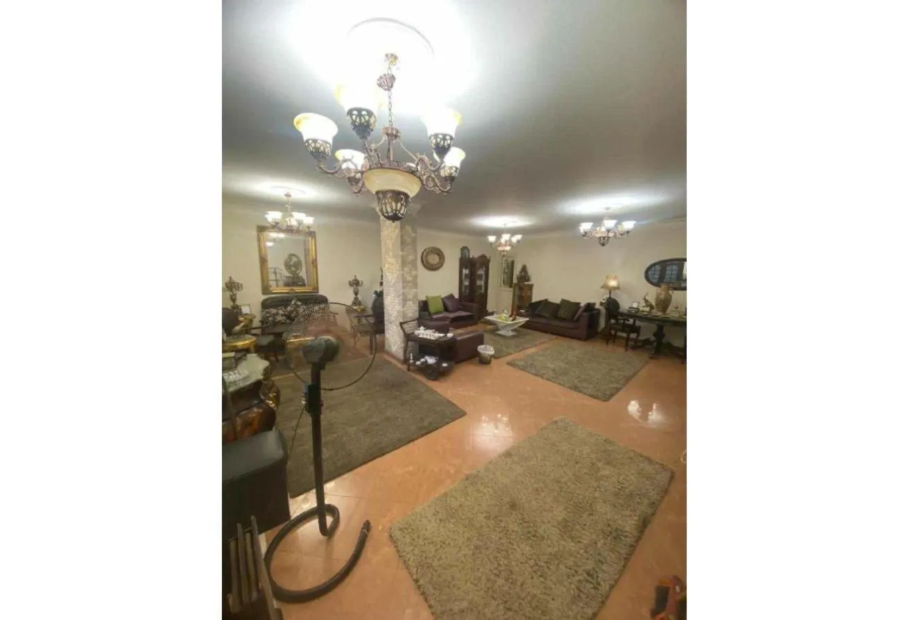 Gallery Image 12