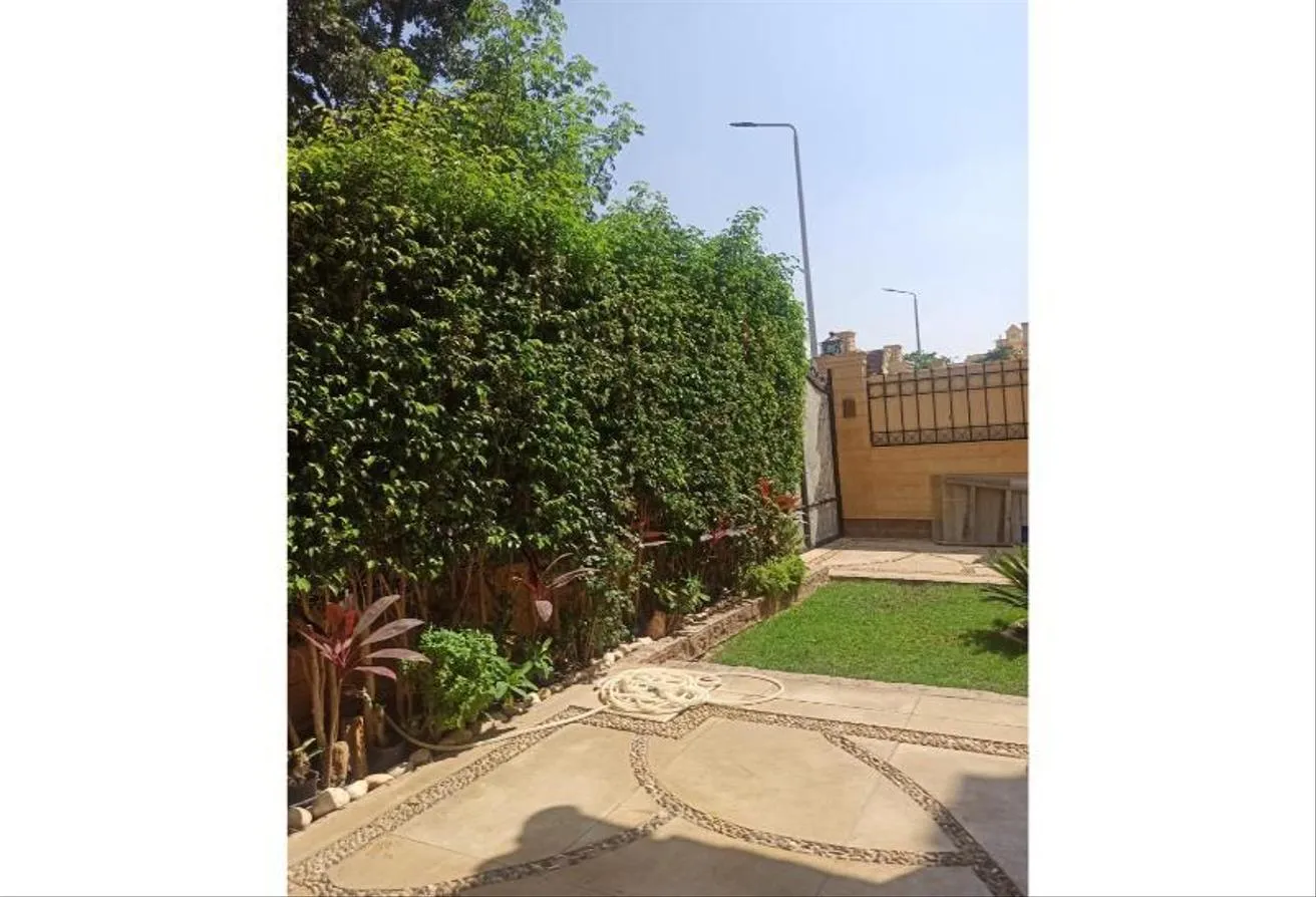 Gallery Image 20