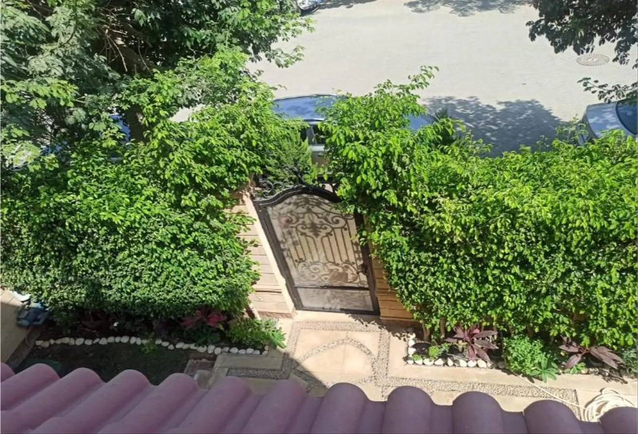 Gallery Image 22