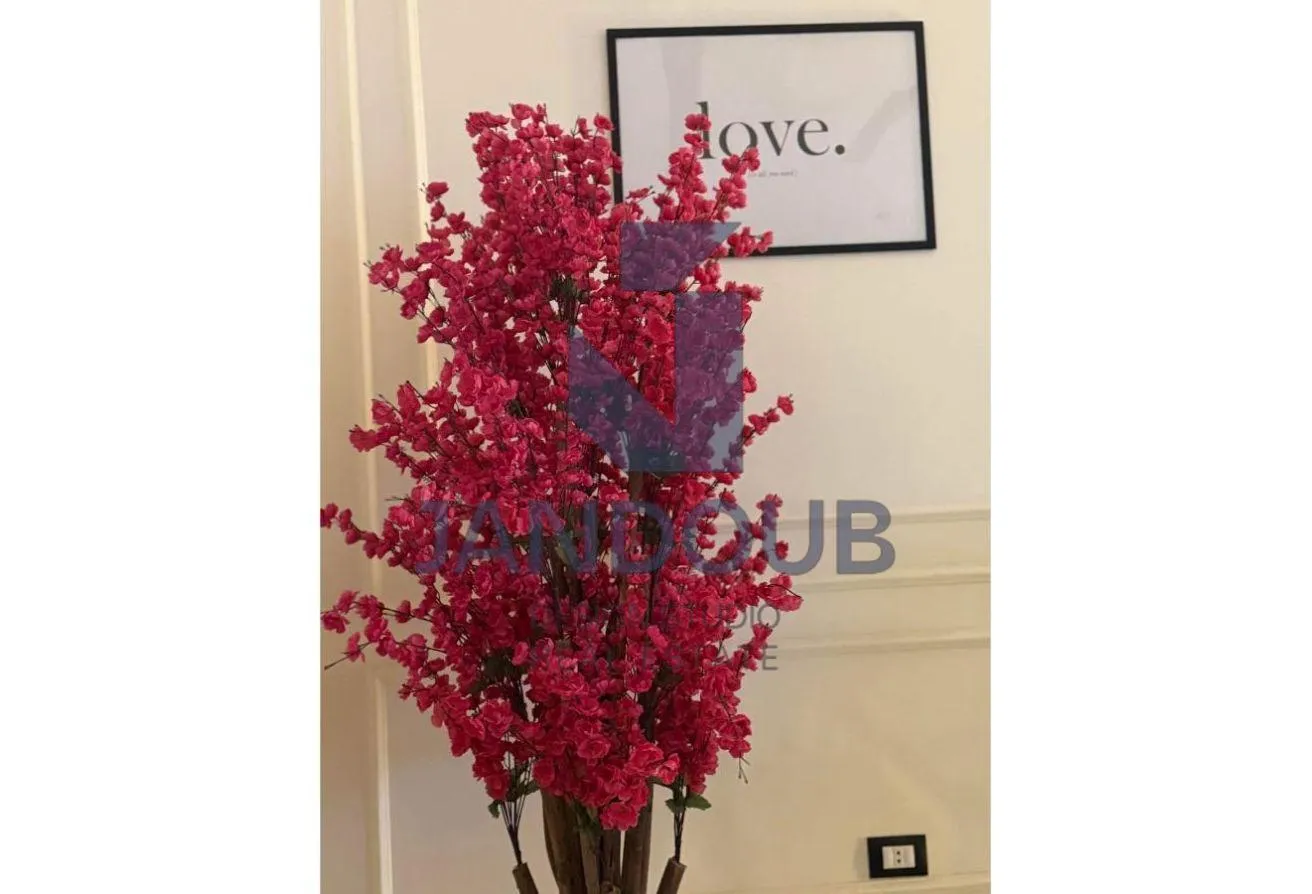Gallery Image 14