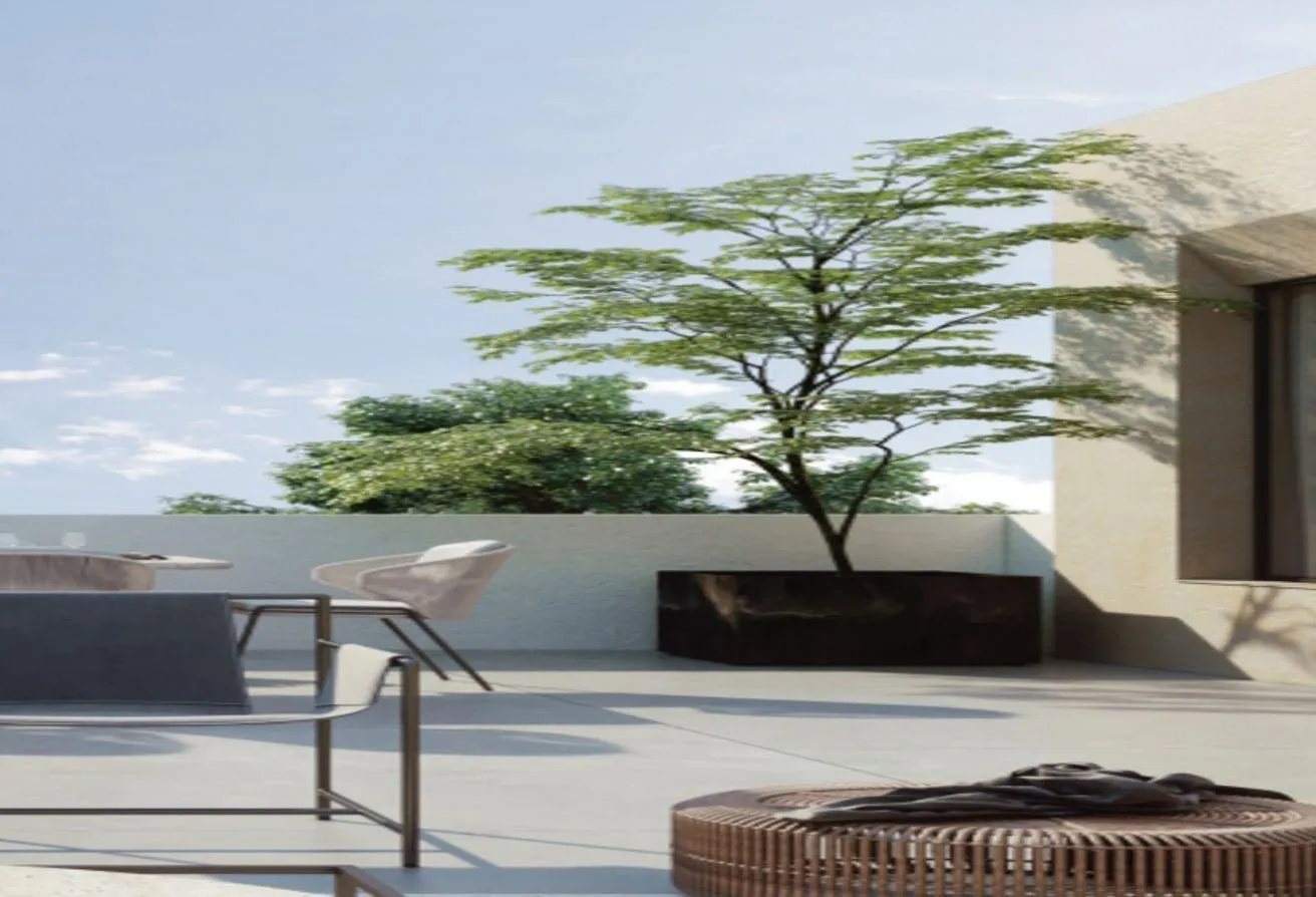 Gallery Image 7