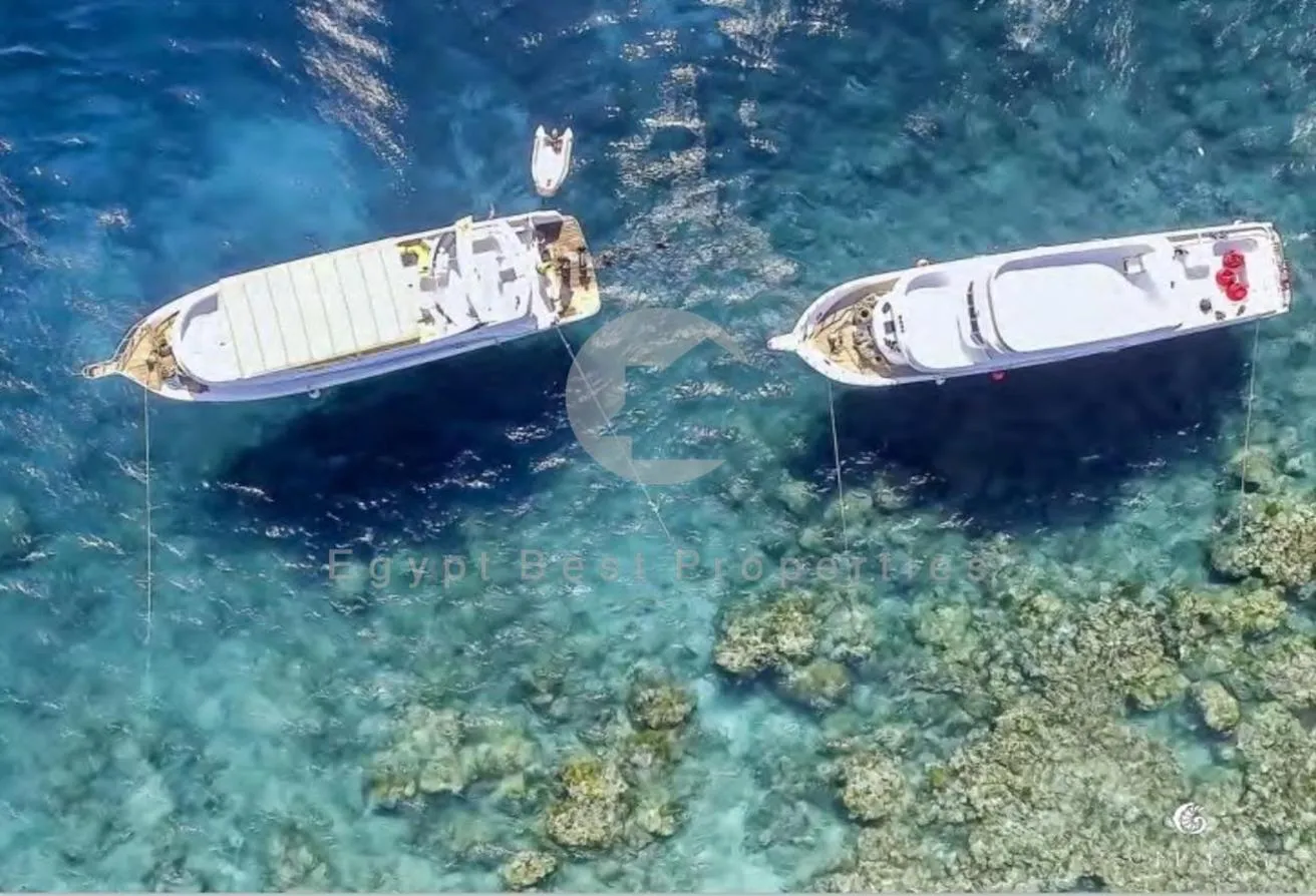 Sale in Mesca: Special Launch Offer+Limited Time Deal - Soma Bay.