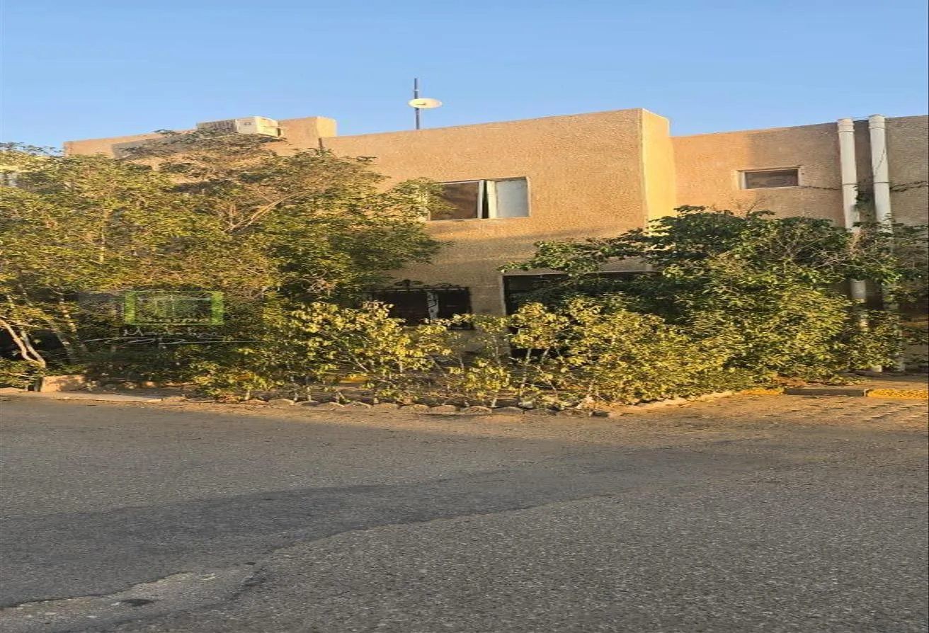 Rent in 16th District: ايجار اداري او طبي او تجاري مكتب56م بدر الدين زايد