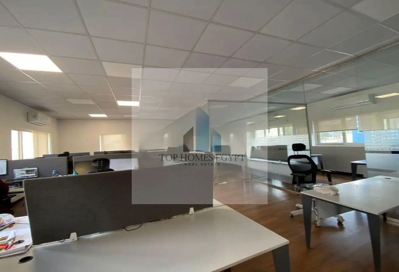 Gallery Image 12