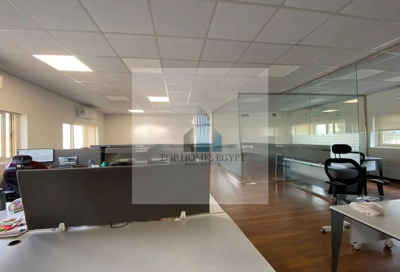 Gallery Image 13