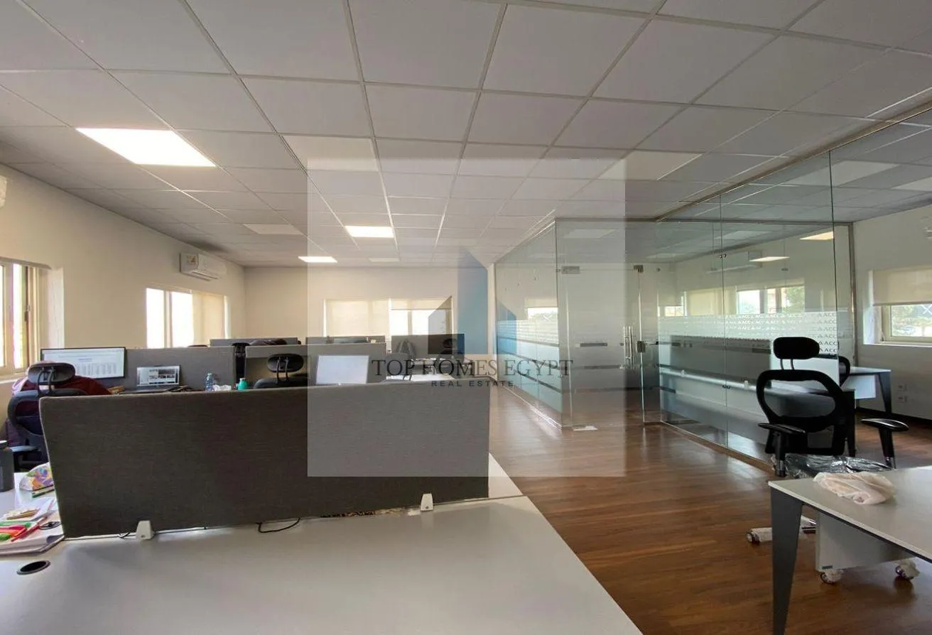 Gallery Image 8