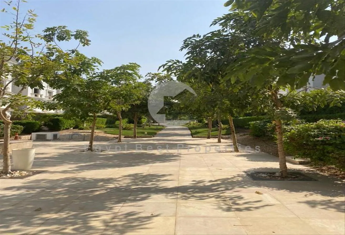 Gallery Image 9