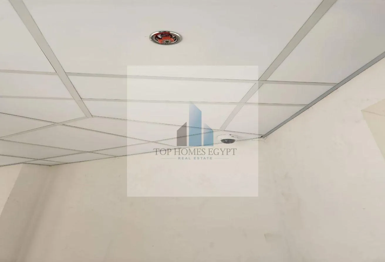 Gallery Image 12