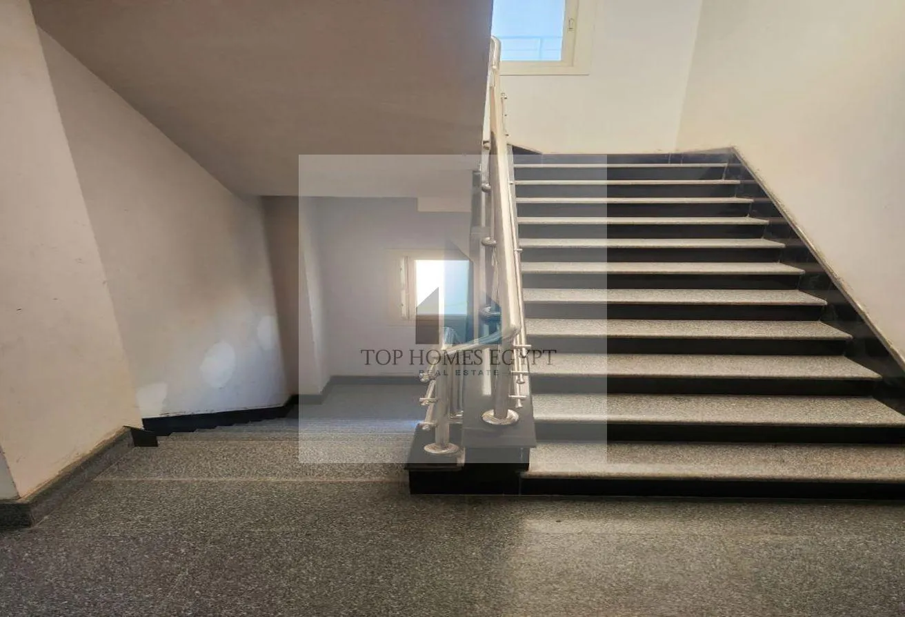 Gallery Image 15