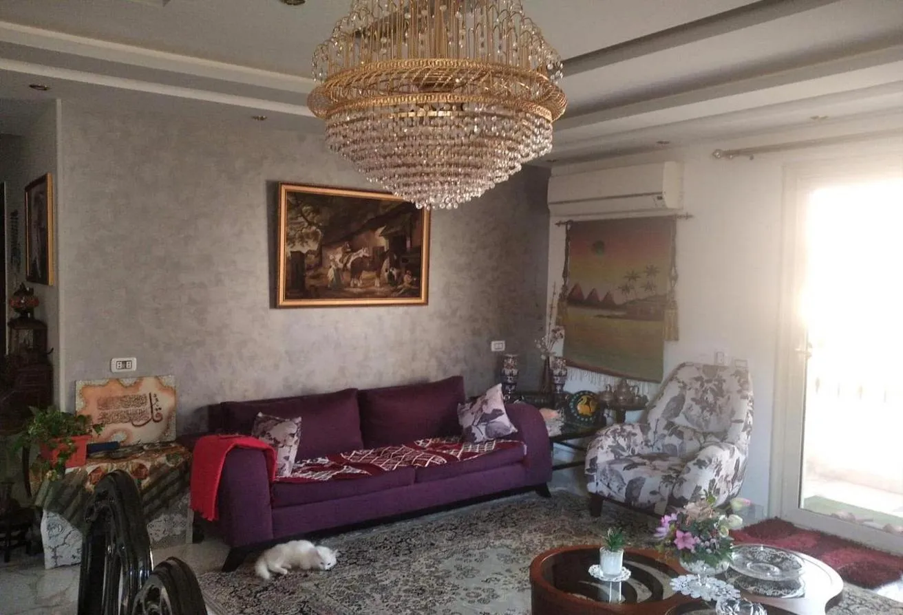 Gallery Image 6