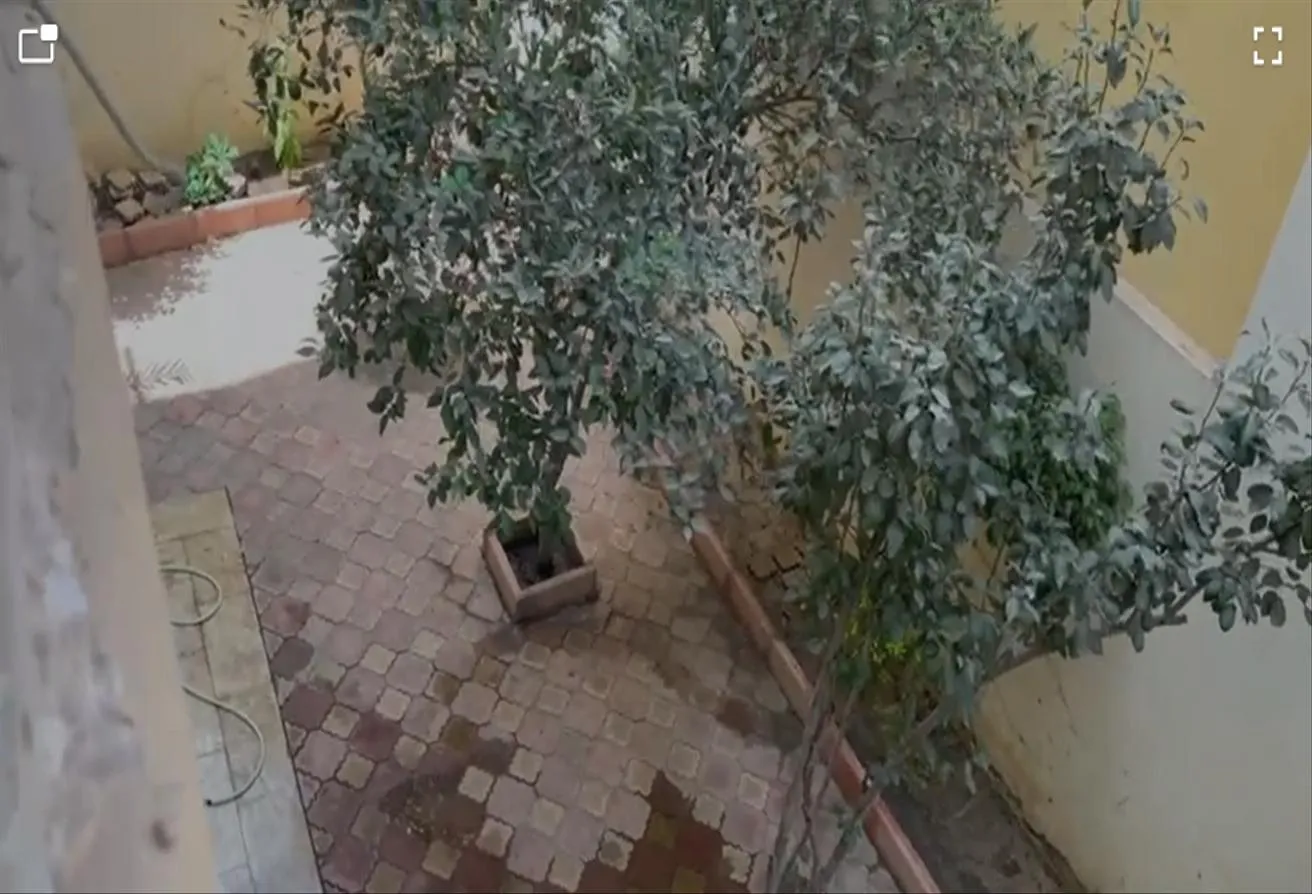 Gallery Image 12