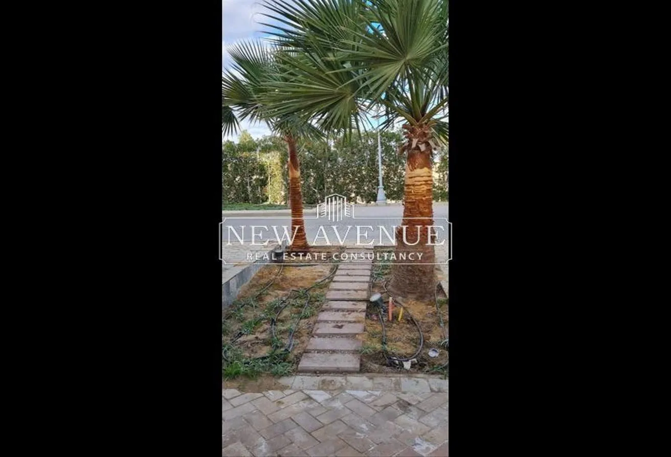 Gallery Image 13