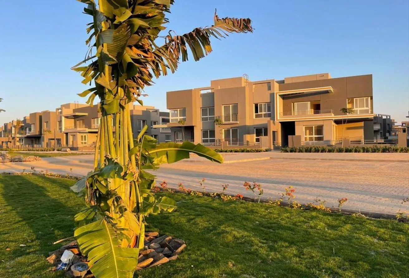 Gallery Image 9