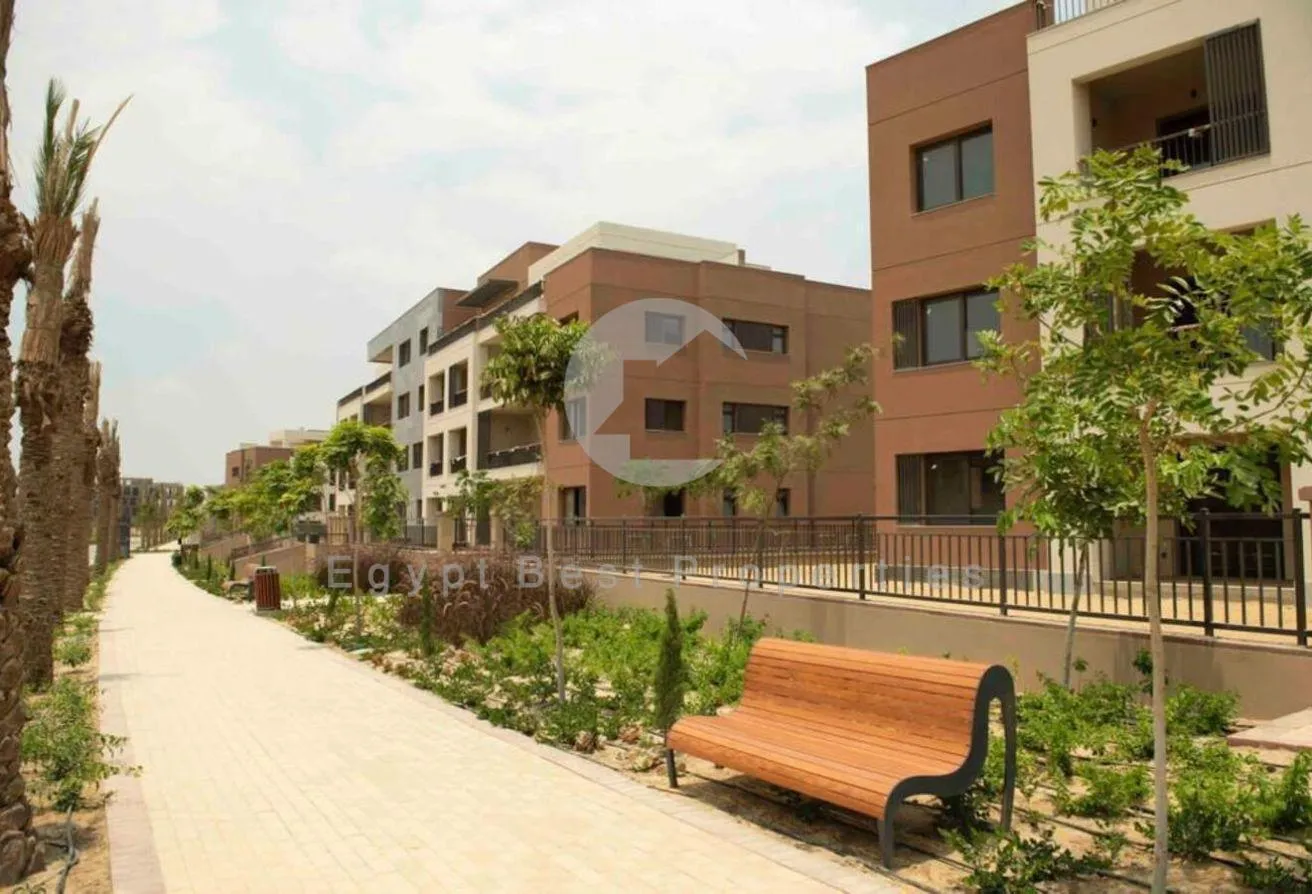Gallery Image 10