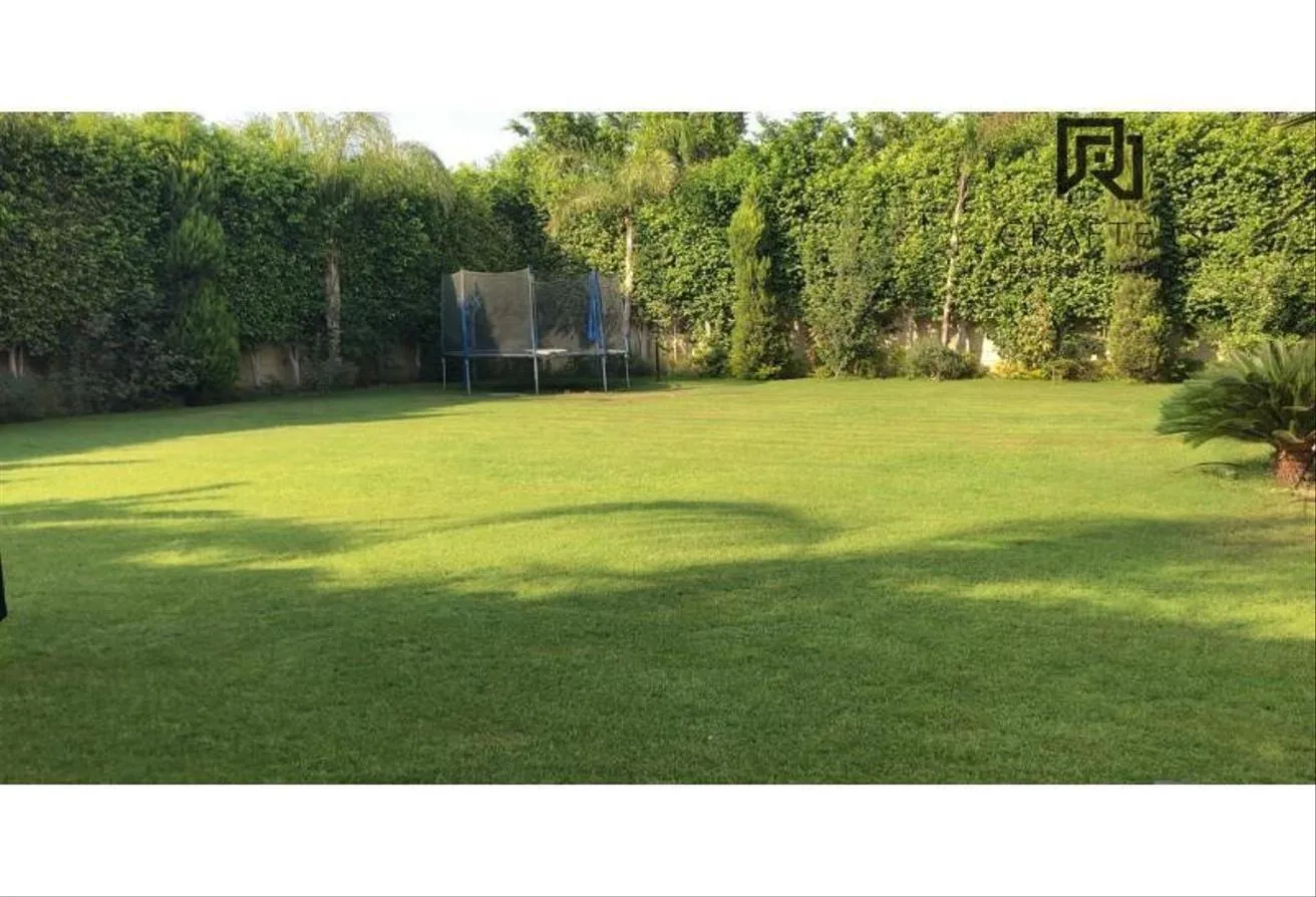 Gallery Image 18