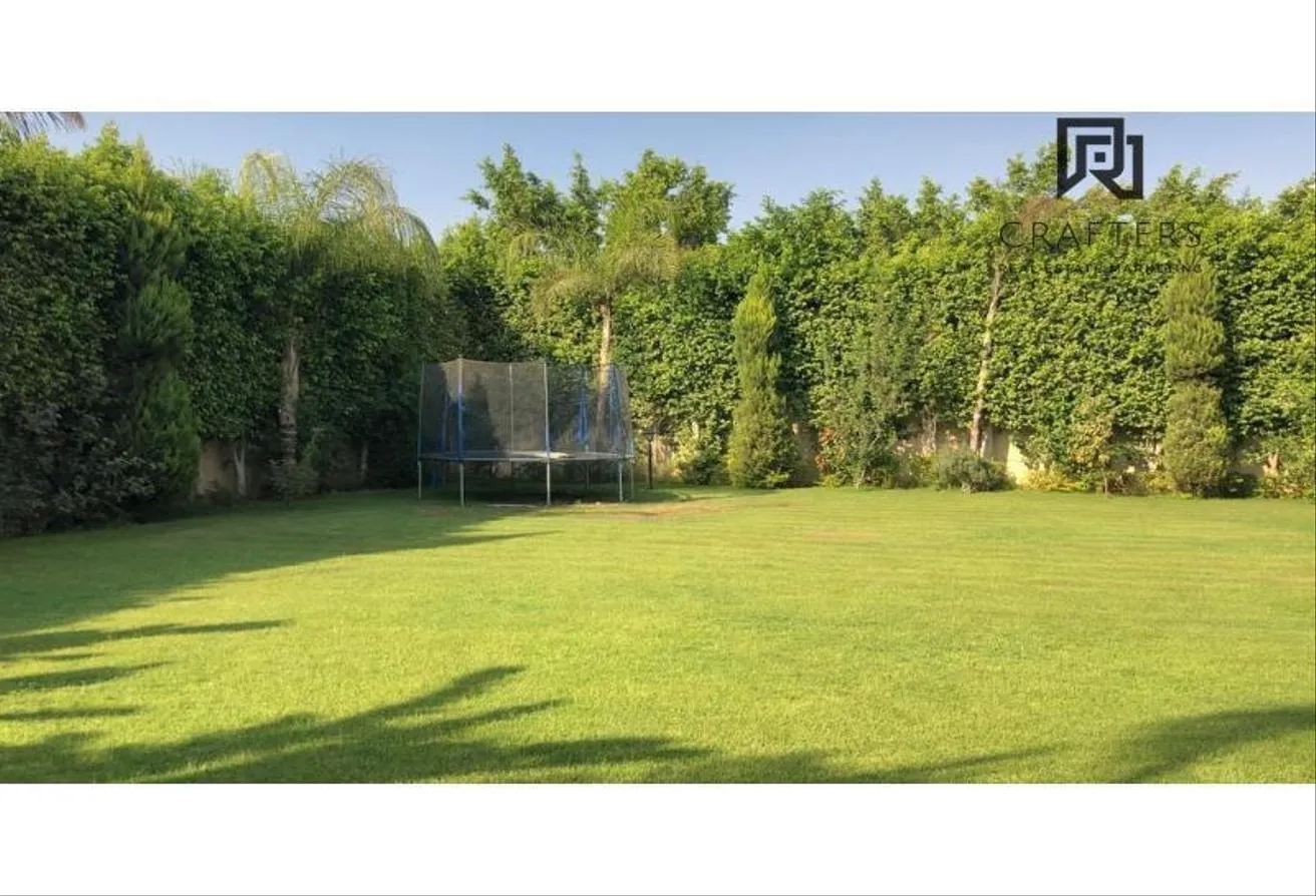 Gallery Image 20