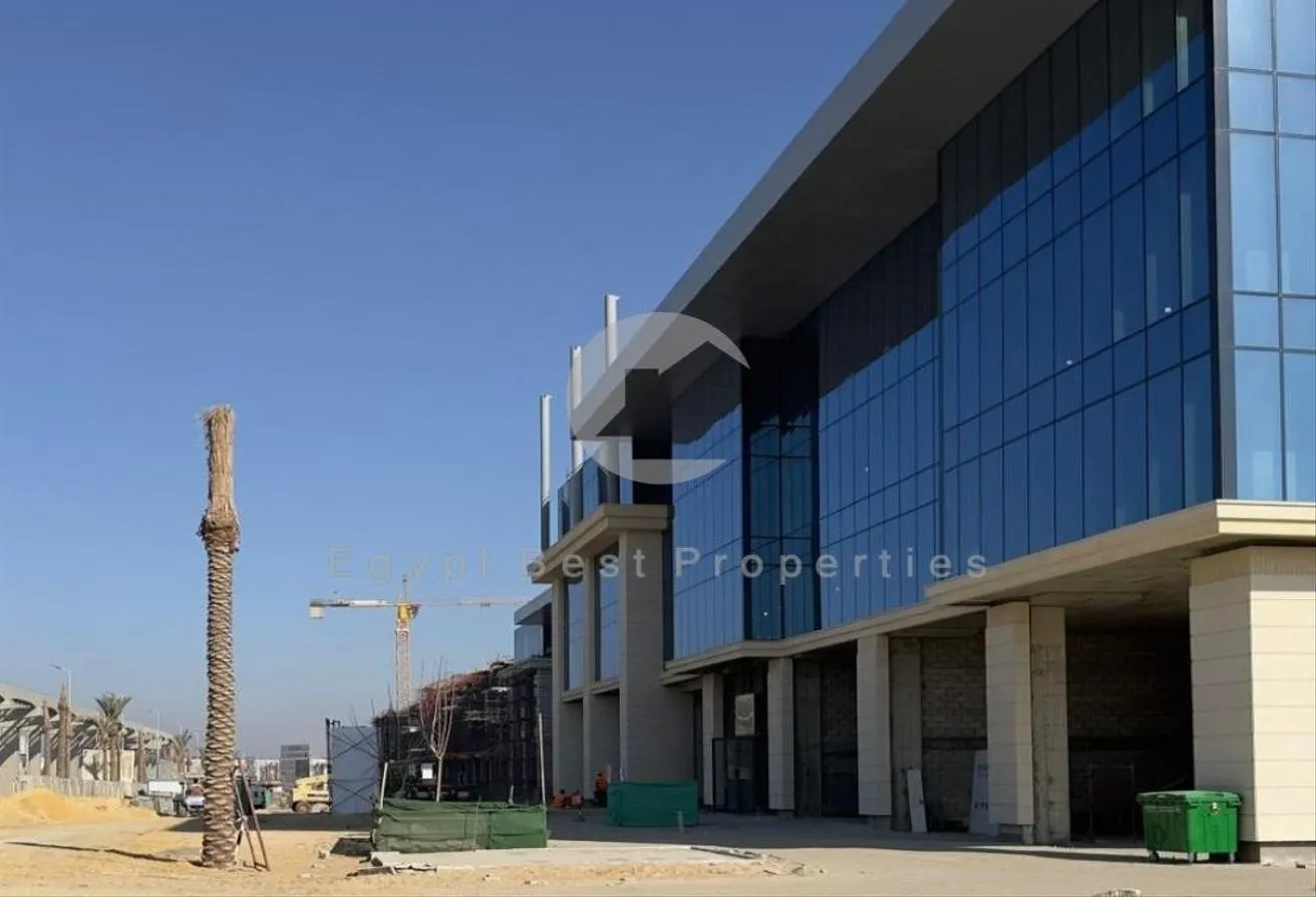 Gallery Image 11