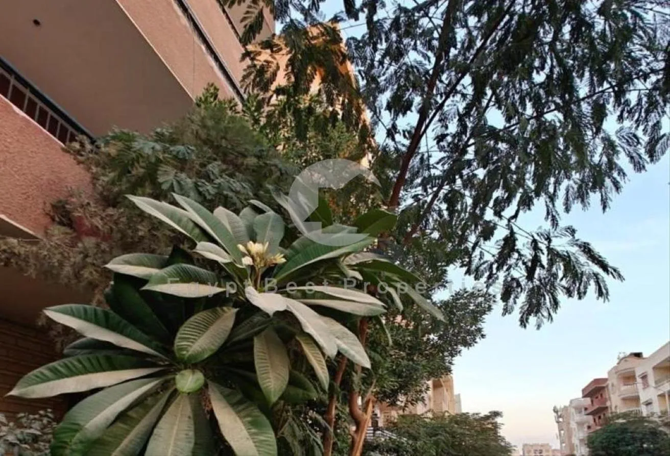 Gallery Image 11