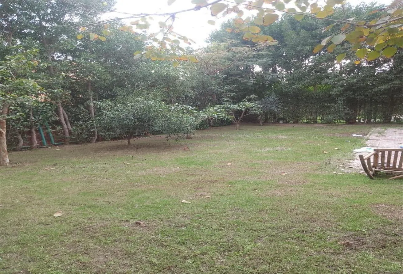 Gallery Image 7