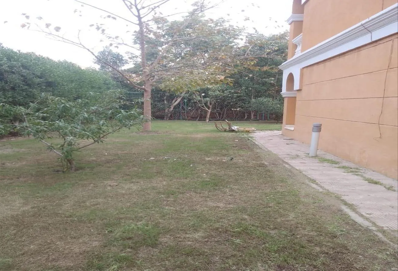 Gallery Image 8