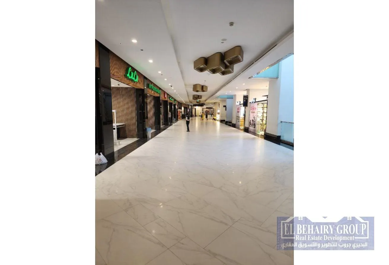 Gallery Image 8
