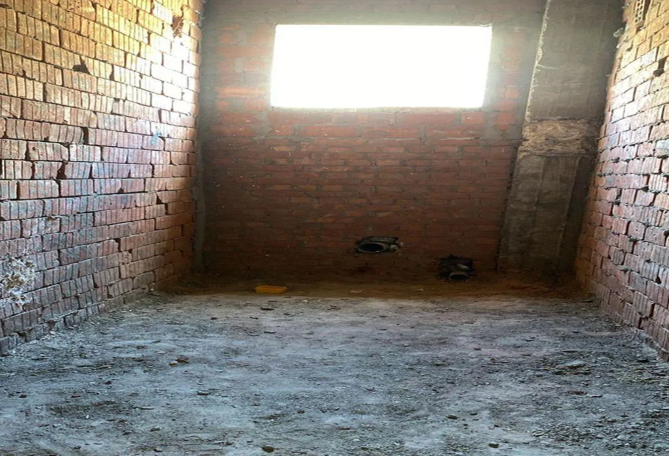Gallery Image 8